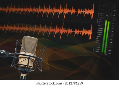 Professional Microphone And Wave Form On The Screen