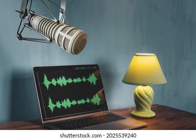 Professional Microphone And Wave Form On The Screen