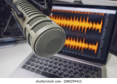 Professional Microphone And Wave Form On The Screen