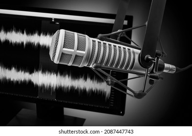 Professional Microphone And Wave Form On The Screen