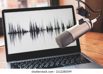 Professional Microphone And Wave Form On The Screen