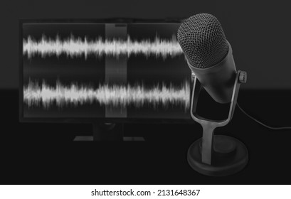 Professional Microphone And Wave Form On The Screen