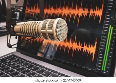 Professional Microphone And Wave Form On The Screen