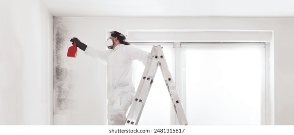 Professional mold removal service: Worker on ladder wearing protective suit and respirator mask, spraying product to clean moldy wall before room painting work. Home refurbishment site with window - Powered by Shutterstock