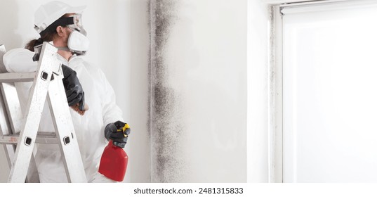 Professional mold removal service: Worker on ladder wearing protective suit and respirator mask, spraying product to clean moldy wall before room painting work. Home refurbishment site with window - Powered by Shutterstock