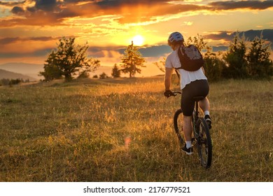 Professional mountain bike cyclist riding in the summer forest at sunset. Extreme sport outdoor. Active happy healthy lifestyle. A young man rides a bicycle in nature. Adventure travel.