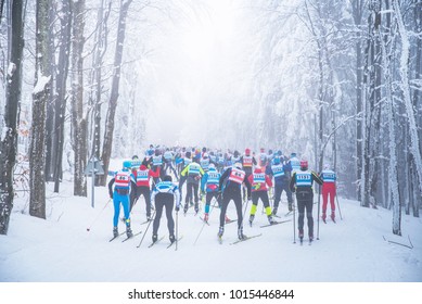 Professional Nordic Ski Competition