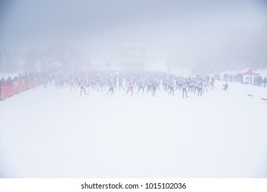 Professional Nordic Ski Race, Start In Foggy Winter Nature