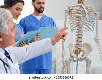 Professional Orthopedist Teaching Medical Students In Clinic, Closeup