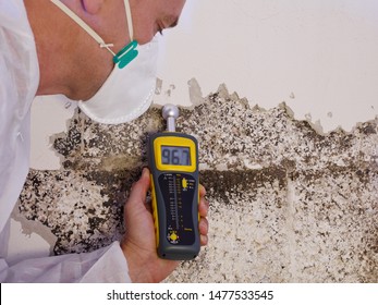 a professional pest control contractor or exterminator in a white safety dress and mask at a mold destroyed wall with a moisture meter check for mold pests and bugs and humidity - Shutterstock ID 1477533545