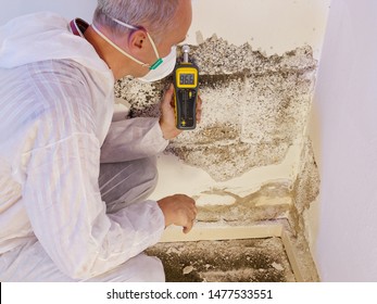 A Professional Pest Control Contractor Or Exterminator In A White Safety Dress And Mask At A Mold Destroyed Wall With A Moisture Meter Check For Mold Pests And Bugs And Humidity