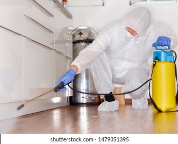 A Professional Pest Control Contractor Or Exterminator At Work With Chemicals In The Kitchen In His Typical Work Wear In His Fight Against Pests Bugs And Mold. Squads On The Parquet And Spray Chemical