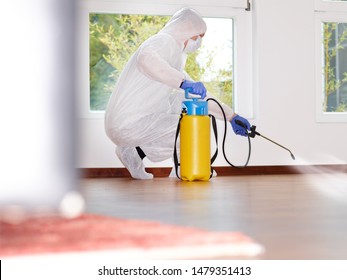 A Professional Pest Control Contractor Or Exterminator At Work With Chemicals In The Kitchen In His Typical Work Wear In His Fight Against Pests Bugs And Mold. Squads On The Parquet And Spray Chemical