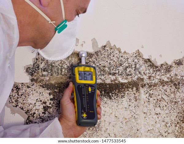 a\
professional pest control contractor or exterminator in a white\
safety dress and mask at a mold destroyed wall with a moisture\
meter check for mold pests and bugs and\
humidity