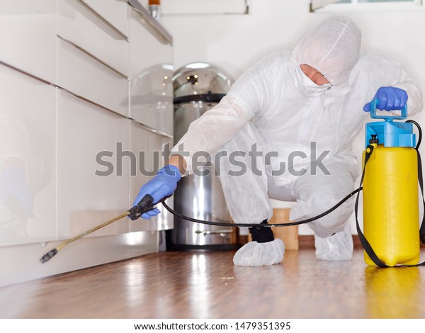 a professional pest control contractor or\
exterminator at work with chemicals in the kitchen in his typical\
work wear in his fight against pests bugs and mold. squads on the\
parquet and spray chemical