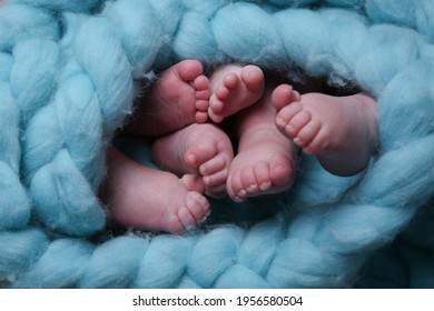 Professional Photo Baby Triplets Legs 