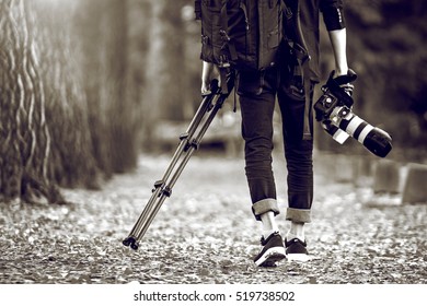 Professional Photographer With Camera And Tripod In Autumn. Black And White Tone.