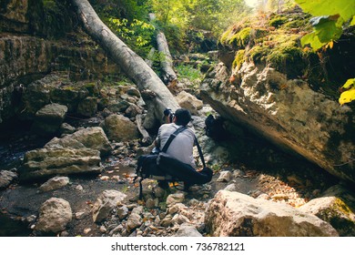 Professional Photographer Takes Pictures Nature Stock Photo 736782121