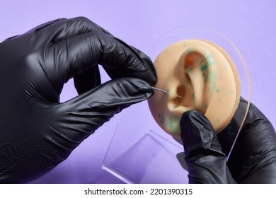 Professional Placing The Jewel Of Training Silicone For Ear Piercing Tragus Type.