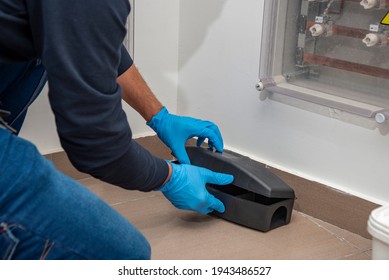 Professional preparing trap for rats, mice, for pest control in a special black box to place the poison. - Shutterstock ID 1943486527