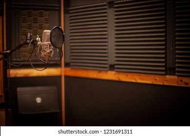 Professional Recording Studio Microphone, Vocal Booth