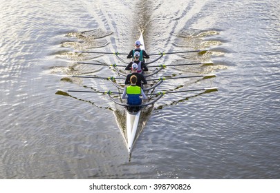 Professional Rowers Training In A Beautiful Italian Lake