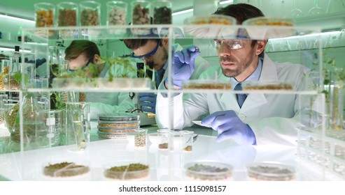 Professional Scientists Men Doing Biological Research on Engineered Foods Seeds in Organic Agriculture Laboratory