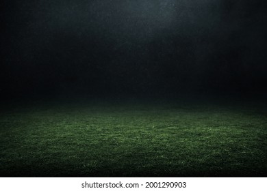 Professional Soccer Field Stadium Background