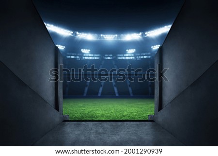 Professional soccer field stadium entrance