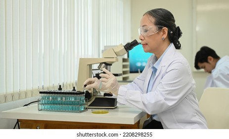 Professional Specialist Looking Under Microscope, Conducting Experiment In A Laboratory