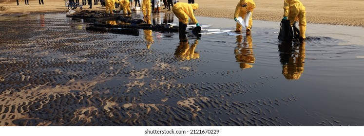 Professional team and volunteer wearomg PPE clean up dirty of oil spill on beach ,  oil slick washed up on a sand beach - Powered by Shutterstock