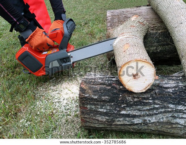 Escape using tree cutter прохождение