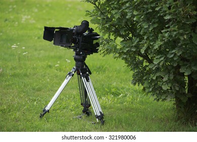 Professional Tv Camcorder On Tripod Stands In The Glade At The Oak Tree