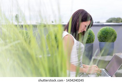 Professional Using Laptop While Sitting In Office Terrace