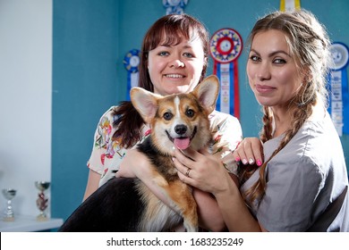 Professional Vet Funny Female Doctor And Woman Who Is Owner Of Small Dog Smilling And Posing Together With Pet. Woman Show Her Dog To Caucasian Cute Pretty Female Nurce In A Veterinary Clinic