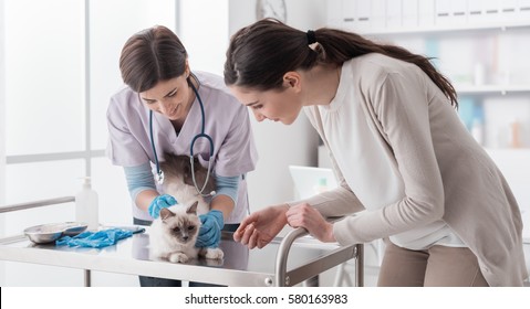 Professional Veterinarian Working At The Veterinary Clinic, She Is Examining A Cat On The Medical Examination Table, The Pet Owner Is Assisting And Smiling