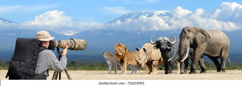 Professional Wildlife Photographer On Safari. Big African Five