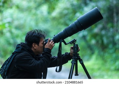A professional wildlife photographer takes pictures with a digital camera and super-telephoto lens on a tripod in a jungle. Focus on the lens.