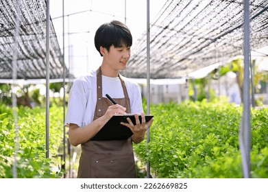 Professional young Asian male hydroponic farm owner or agricultural scientist is in the greenhouse with his clipboard paper, inspecting and recording the quality of salad plants. Farm business concept - Powered by Shutterstock