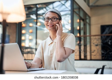 Professional-looking Grey-haired Lady Having A Phonecall While Sitting At Workplace