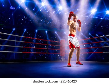 Professionl boxer is standing on the grand arena