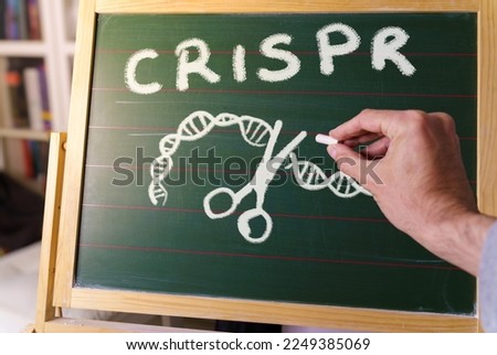 Professor teaching the CRISPR technique on a blackboard