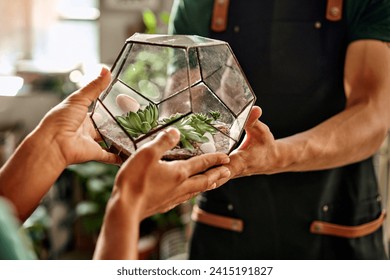 Proficiency in floristic. Close up of male and female hands holding glass terrarium with mini succulent garden. Multicultural flower store workers creating visually striking floral arrangement. - Powered by Shutterstock