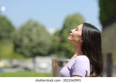 Profile Of An Asian Woman Breathing Fresh Air In A Park A Sunny Day