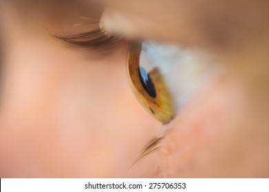 Profile Of Brown Human Eye With Lashes And Blurred Background