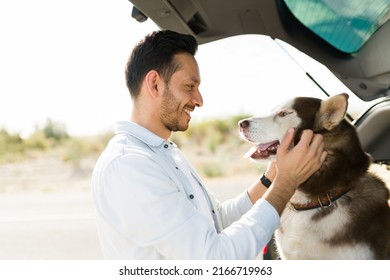 4,117 Husky profile Images, Stock Photos & Vectors | Shutterstock