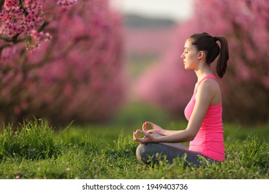 Profile Of A Concentrated Yogi In Pink Doing Yoga Exercise In A Field At Sunset