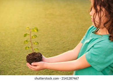 Profile Girl With Long Curly Hair Wearing Green T-shirt With Outstretched Hands Holding A Small Green Plant That Is Sprouting On Defocused Green Grass Background