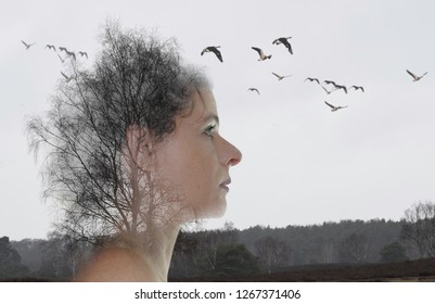Profile of a pensive woman face in front of a naked tree and flying wild geese in autumn