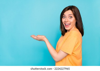 Profile photo of cheerful charming girl beaming smile hands hold empty space isolated on blue color background - Shutterstock ID 2224227965